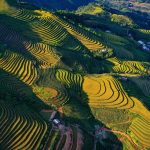 địa điểm du lịch Yên Bái