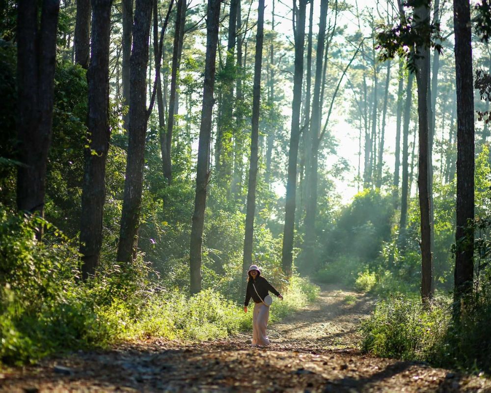 Top các địa điểm du lịch Kon Tum nổi tiếng nhất