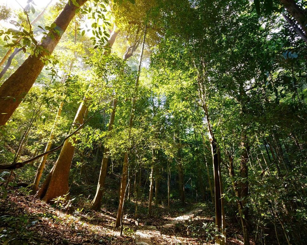 Top các địa điểm du lịch Kon Tum nổi tiếng nhất