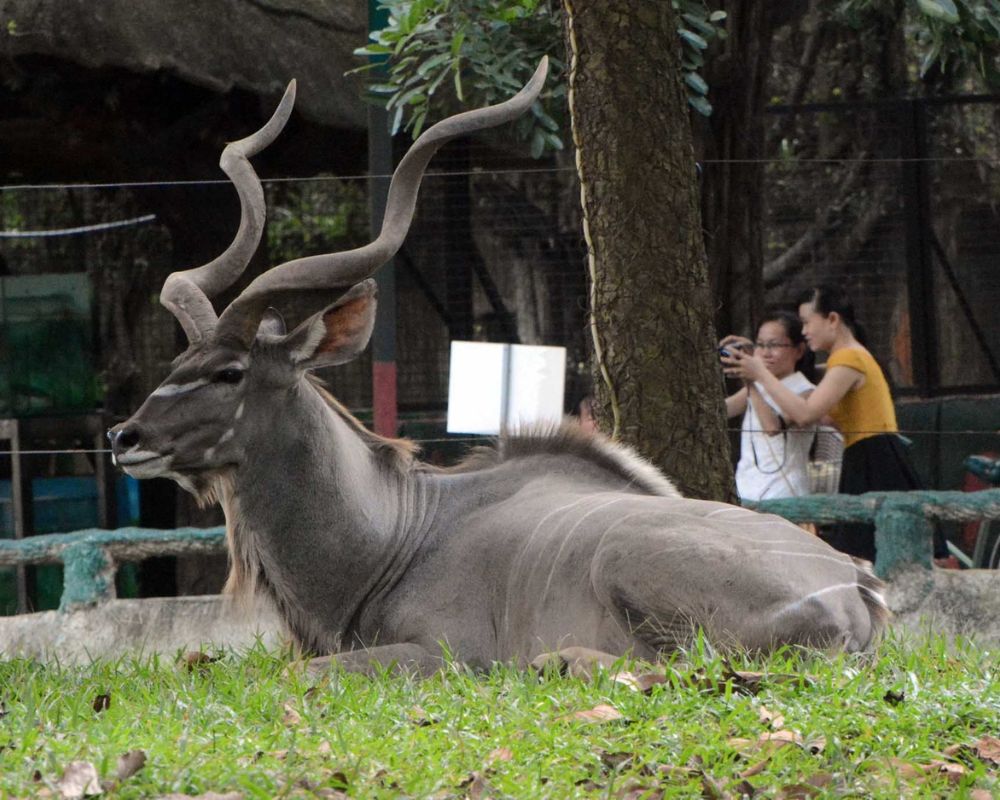 Địa điểm du lịch ở Bình Dương