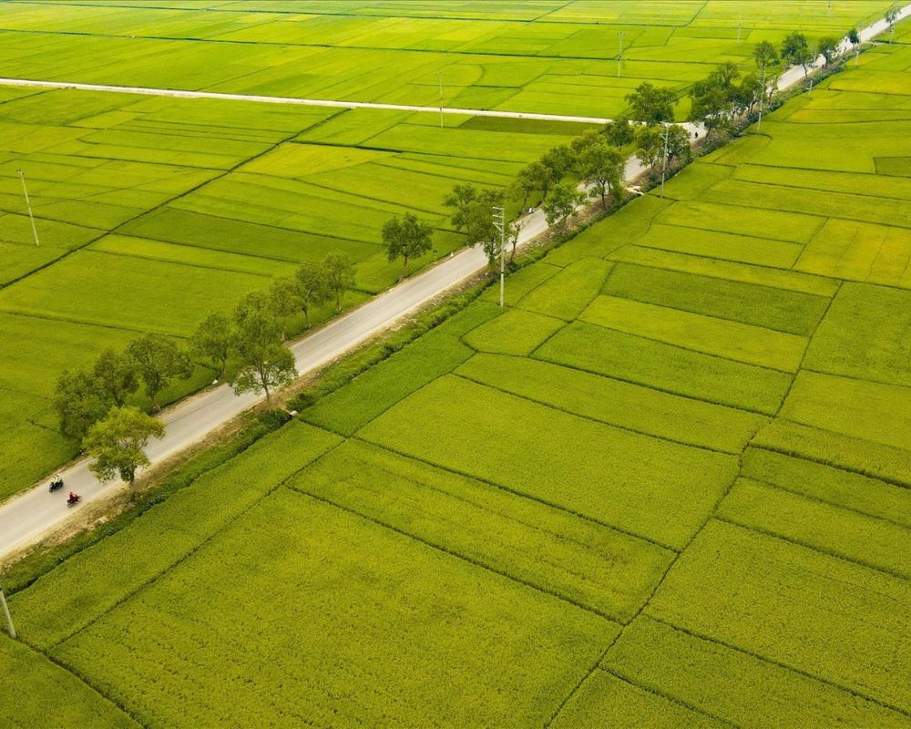 Địa điểm du lịch Điện Biên