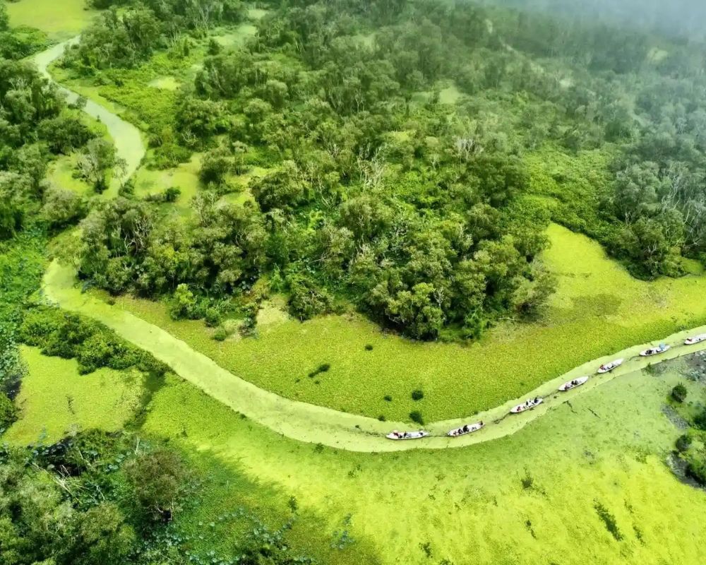 Top các địa điểm du lịch ở Long An