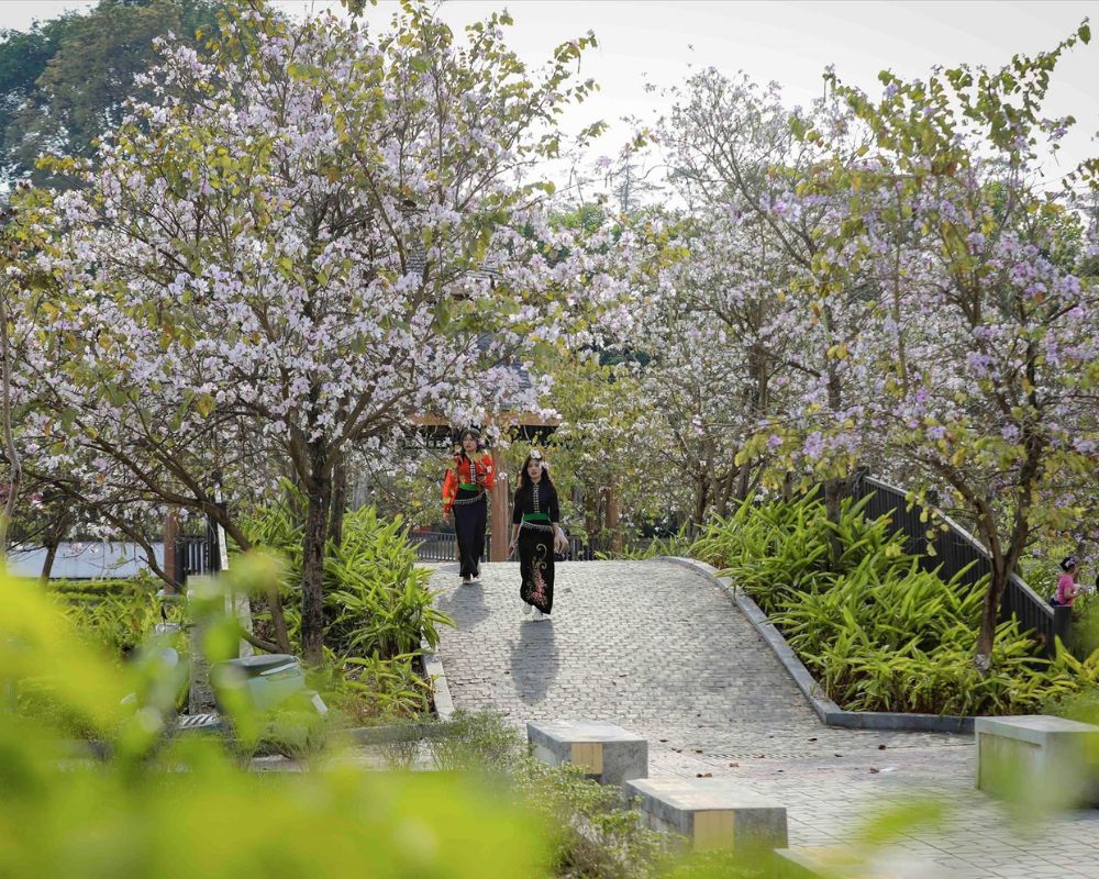 Du lịch Điện Biên có gì đặc biệt?