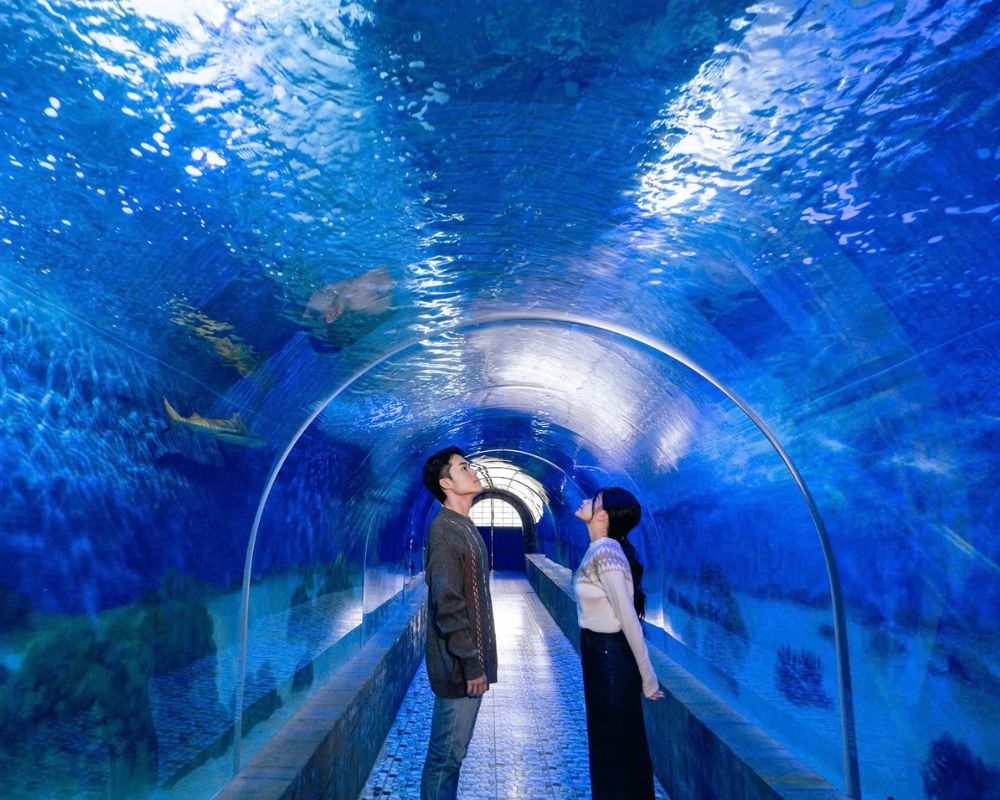 Giới thiệu về địa điểm du lịch Nha Trang về vui chơi giải trí