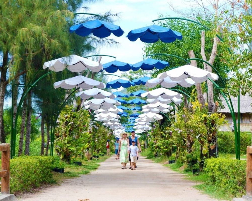 Giới thiệu về địa điểm du lịch Nha Trang về thiên nhiên thư giãn