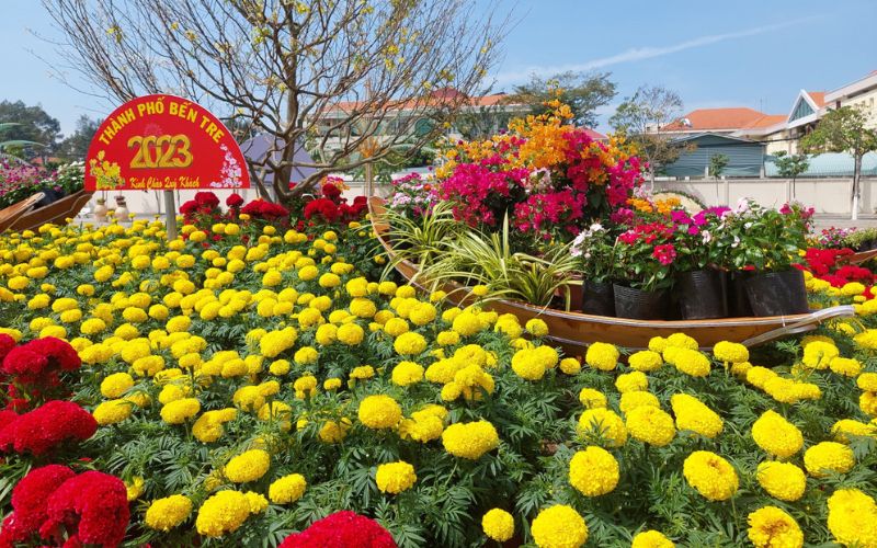 Làng hoa Cái Mơn trở thành tâm điểm thu hút du khách với hàng ngàn chủng loại hoa kiểng khoe sắc