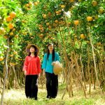 Bến Tre có địa điểm du lịch nào? Gợi ý 10 điểm hấp dẫn nhất