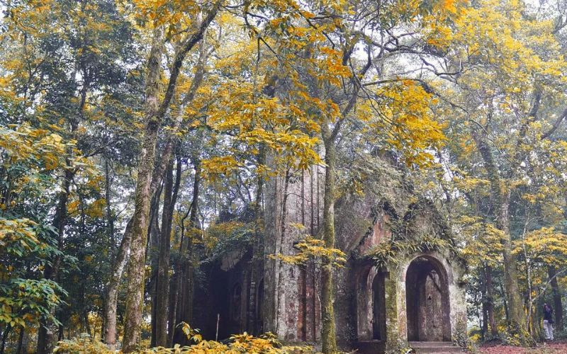 Nhà thờ đổ Ba Vì