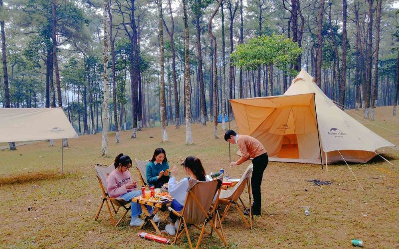 Tổ chức cắm trại và dã ngoại tại khu vực Rừng thông