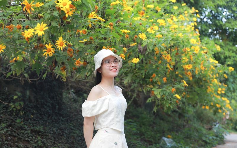 Theo kinh nghiệm đi du lịch Ba Vì bạn nên săn mây và check-in hoa dã quỳ vào tháng 11