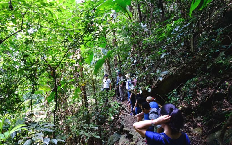 Hoạt động leo núi (Trekking) tại Ba Vì