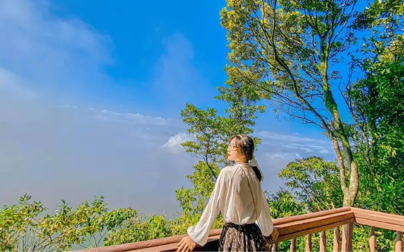 Vườn Quốc gia Ba Vì