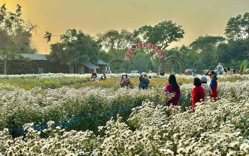 Khu vực bãi đá ven sông Hồng là địa điểm check-in quen thuộc