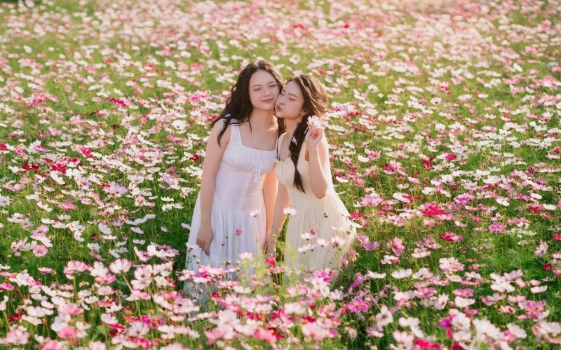 Check-in tại các vườn hoa theo mùa