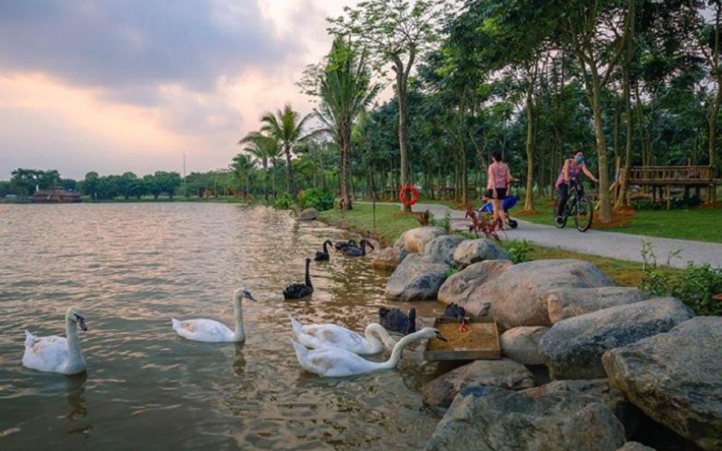 Công viên Hồ Thiên Nga