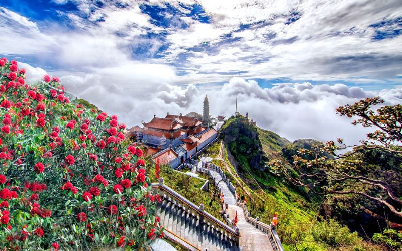 Sapa