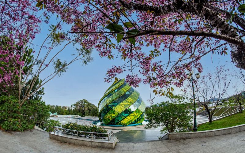 Nhắc đến những địa điểm du lịch đi 2 ngày 1 đêm không thể bỏ qua Đà Lạt