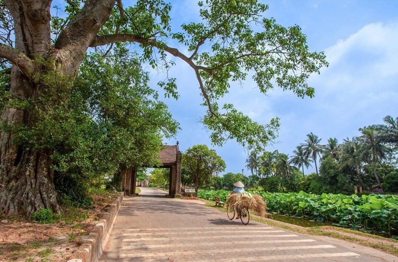 Làng cổ Đường Lâm