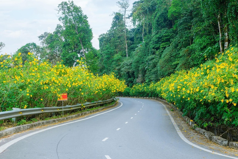 Vườn quốc gia Ba Vì