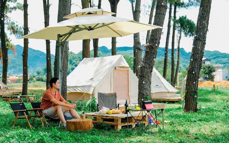 Rừng thông thung lũng Bản Áng