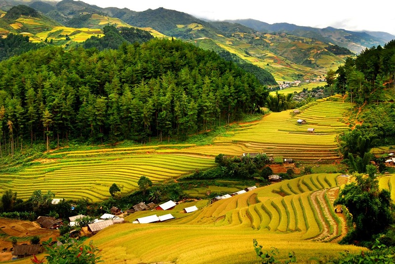 Mai Châu (Hòa Bình)