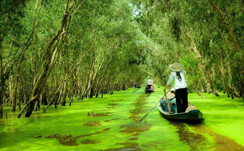 Khu du lịch sinh thái rừng tràm Trà Sư