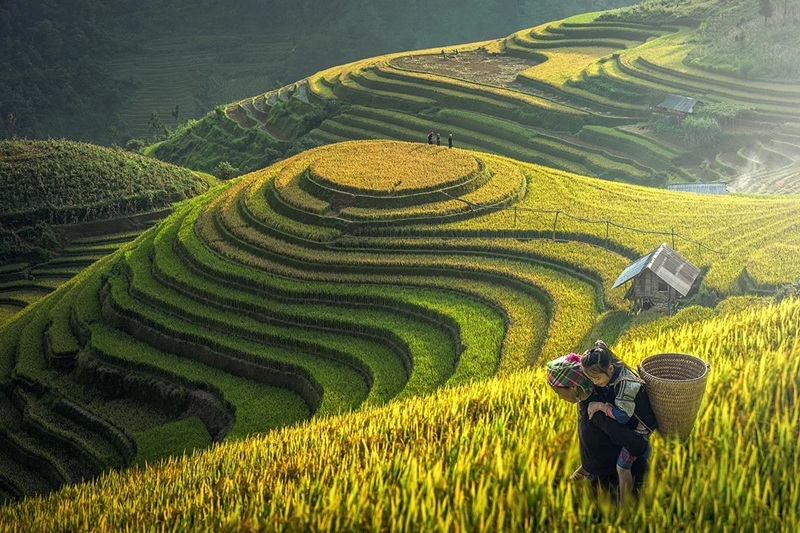 Sapa (Lào Cai)