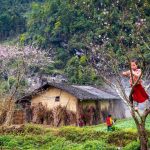 những điểm du lịch ở miền Bắc vào mùa hè